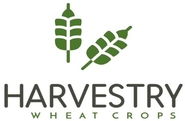 Logo (Designed by IzubaGen)